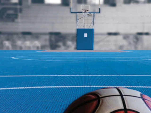 Flexipads: Dalles Sportives à la Francaise