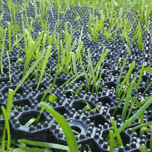 Dalles de revêtement Grassprotect