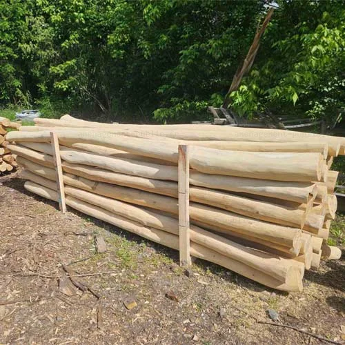Rondin écorcé et poncé en bois de robinier